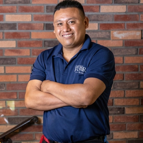 Limpieza / Lavaloza | Requisitos ↓