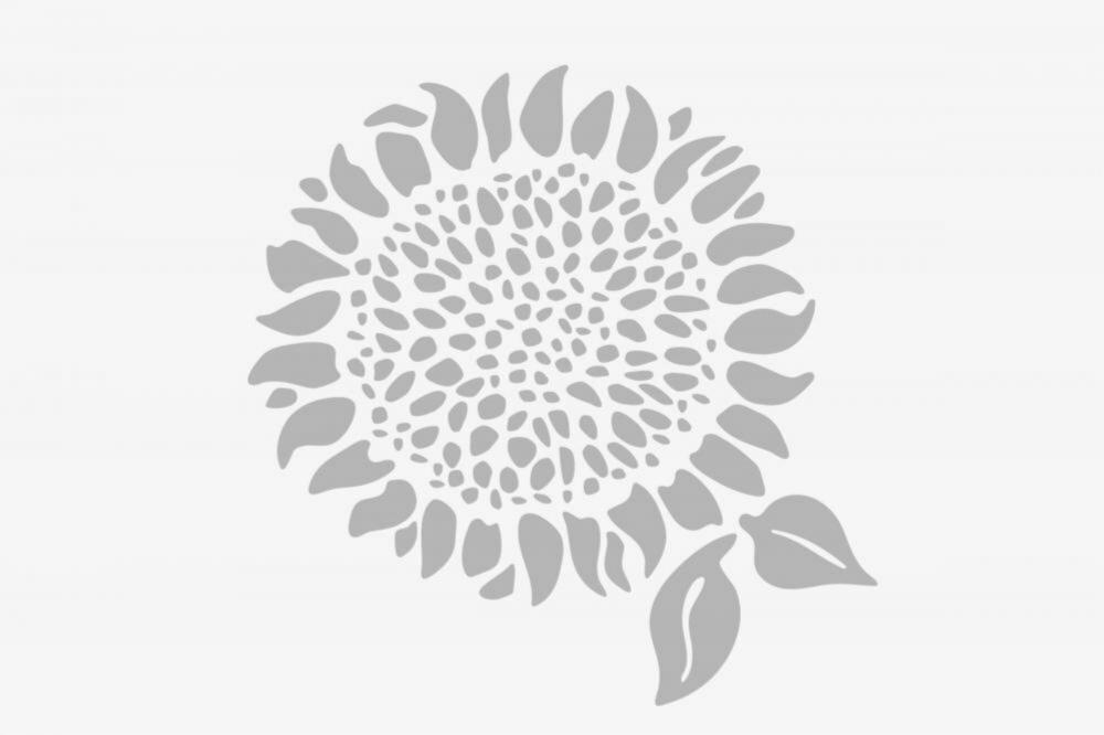 Tisana de Kiwi con Fresa